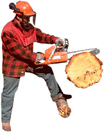 Stihl logo